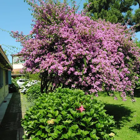 Villa Hermes-2